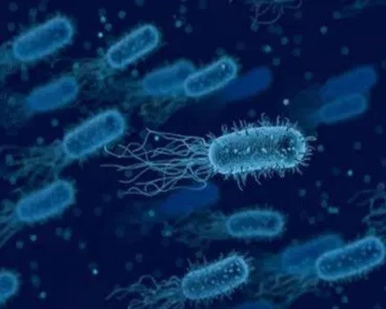 Проблема антибиотикоустойчивости микроорганизмов и пути ее решения