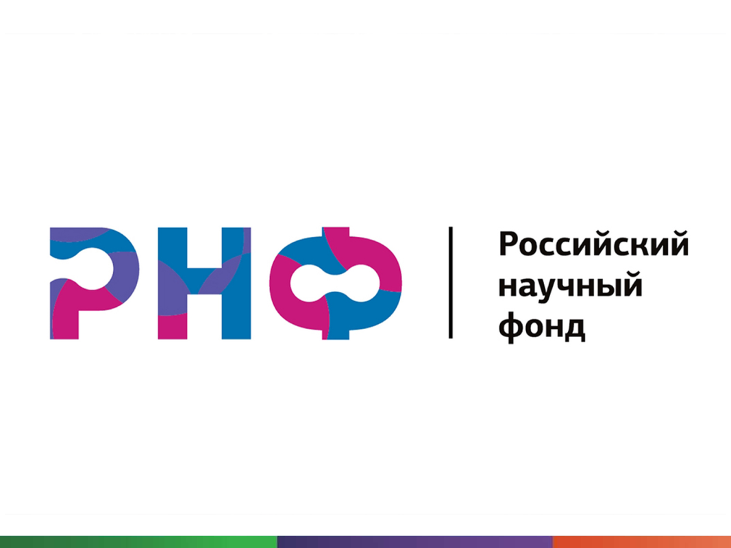 Гранты РНФ политехникам