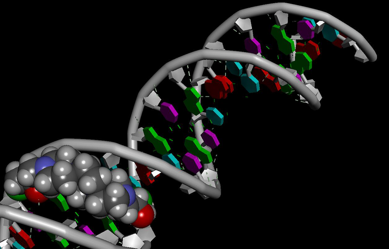 Domestic anti-cancer drug that interacts with its target - the DNA molecule