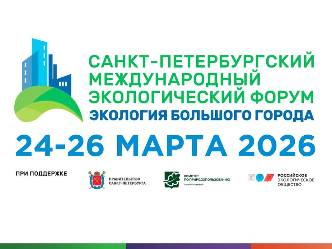 Экология большого города