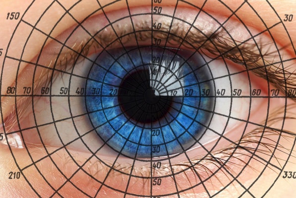 В Политехе создали управляемую взором программу для определения размеров поля зрения программистов